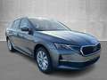Skoda Octavia Combi Selection 1.5 TSI 150PS/110kW 6G 2026 1.5... - thumbnail 1