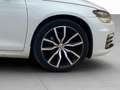 Volkswagen Scirocco 2.0TDI BMT R-Line DSG 110kW Bianco - thumbnail 8