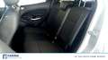 Ford Kuga 1.5 EcoBlue Titanium X Grigio - thumbnail 9