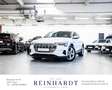 Audi e-tron SPORTBACK 50 Q 20Z./SOFT-CL/PANO/eSITZE Weiß - thumbnail 1