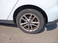 Ford Focus 1.6TDCI Trend Blanco - thumbnail 19