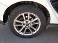 Ford Focus 1.6TDCI Trend Blanco - thumbnail 20
