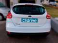 Ford Focus 1.6TDCI Trend Blanco - thumbnail 5