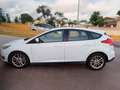 Ford Focus 1.6TDCI Trend Blanco - thumbnail 6