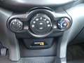 Ford EcoSport 1.5 TDCi 95 CV Business Grigio - thumbnail 15