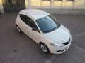 Lancia Ypsilon 1.2 69 CV 5 porte 5 Posti Gold UNICOPRO Beige - thumbnail 5