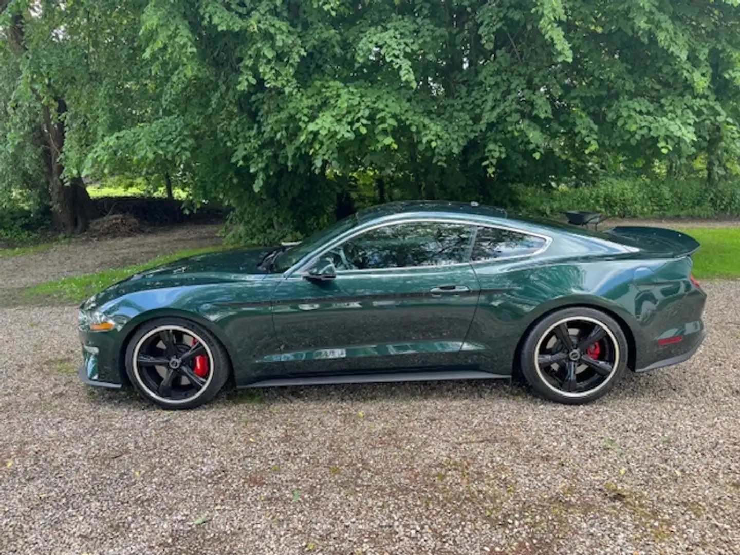 Ford Mustang Fastback 5.0 Ti-VCT V8 BULLITT 751 PS Verde - 1