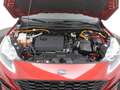 Ford Kuga 2.5 PHEV 225pk ST-Line X PANODAK|ACC|BLIS|WINTERPA Rood - thumbnail 22