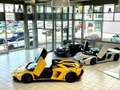 Lamborghini Aventador SV*LP 750*Roadster*Carbon*20Tkm* Geel - thumbnail 15
