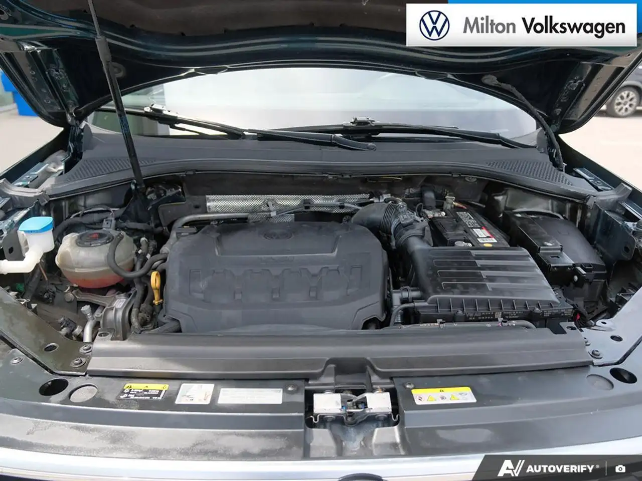 Volkswagen Tiguan fotografie Volkswagen Tiguan