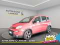 Fiat New Panda Panda 1.0 Firefly Hybrid Sport 70cv 5 POSTI 1 PROP Roşu - thumbnail 3