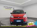 Fiat New Panda Panda 1.0 Firefly Hybrid Sport 70cv 5 POSTI 1 PROP Roşu - thumbnail 2