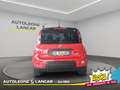 Fiat New Panda Panda 1.0 Firefly Hybrid Sport 70cv 5 POSTI 1 PROP Roşu - thumbnail 6