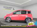 Fiat New Panda Panda 1.0 Firefly Hybrid Sport 70cv 5 POSTI 1 PROP Roşu - thumbnail 4