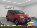 Fiat New Panda Panda 1.0 Firefly Hybrid Sport 70cv 5 POSTI 1 PROP Roşu - thumbnail 1