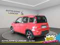 Fiat New Panda Panda 1.0 Firefly Hybrid Sport 70cv 5 POSTI 1 PROP Roşu - thumbnail 5