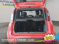 Fiat New Panda Panda 1.0 Firefly Hybrid Sport 70cv 5 POSTI 1 PROP Roşu - thumbnail 9