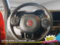 Fiat New Panda Panda 1.0 Firefly Hybrid Sport 70cv 5 POSTI 1 PROP Roşu - thumbnail 10