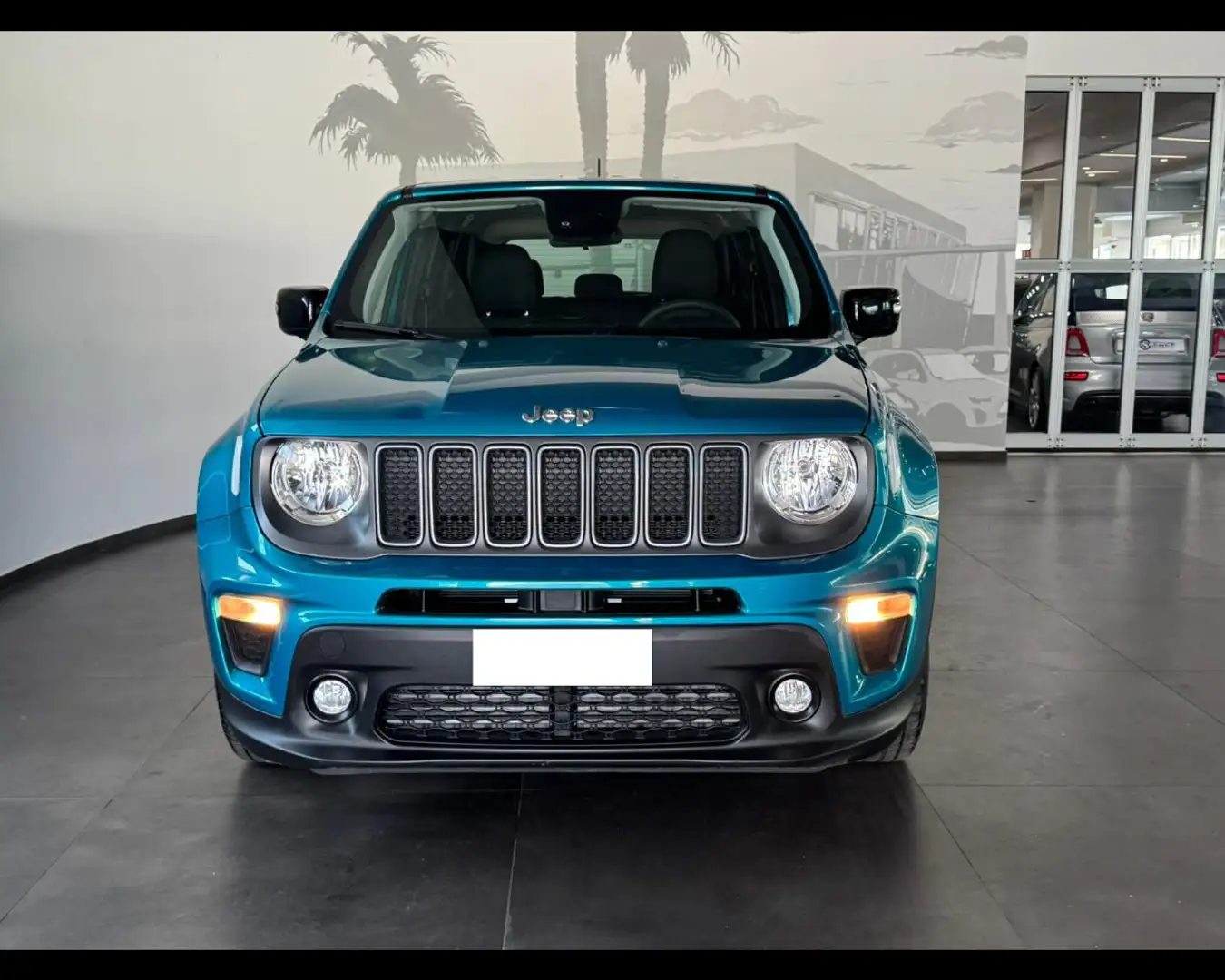 Jeep Renegade 1.6 Mjt 130 CV Limited Blu/Azzurro - 2