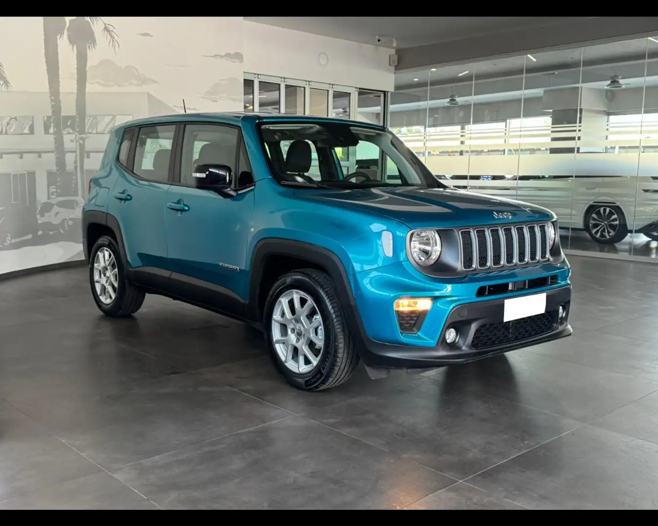 Jeep Renegade 1.6 Mjt 130 CV Limited Blu/Azzurro - 1
