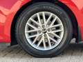 Kia Rio 1.4 ComfortLine Dealer onderhouden Cruise control Rojo - thumbnail 9