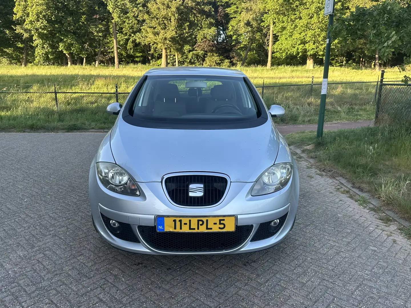 SEAT Altea 2.0 FSI Sportrider Серый - 1