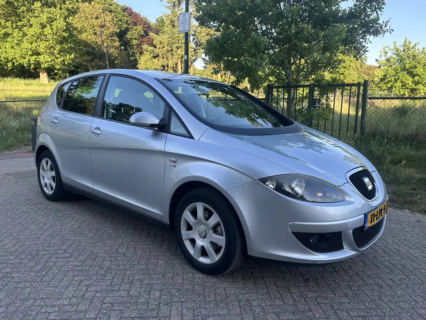 SEAT Altea 2.0 FSI Sportrider Серый - 2