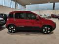 Fiat Panda 1.0 FireFly 70cv Hybrid Pandina Rot - thumbnail 4