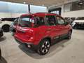 Fiat Panda 1.0 FireFly 70cv Hybrid Pandina Rot - thumbnail 5