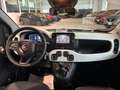 Fiat Panda 1.0 FireFly 70cv Hybrid Pandina Rot - thumbnail 14