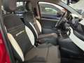 Fiat Panda 1.0 FireFly 70cv Hybrid Pandina Rot - thumbnail 17
