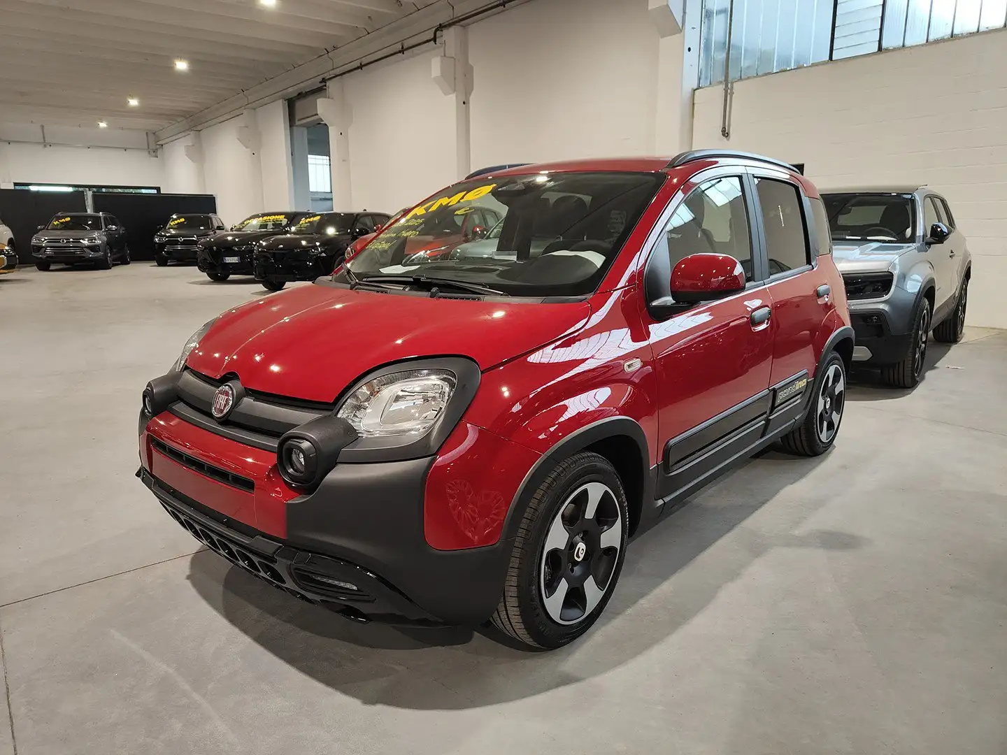 Fiat Panda 1.0 FireFly 70cv Hybrid Pandina Rot - 1