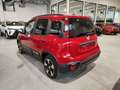 Fiat Panda 1.0 FireFly 70cv Hybrid Pandina Rot - thumbnail 6
