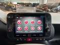 Fiat Panda 1.0 FireFly 70cv Hybrid Pandina Rot - thumbnail 20