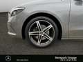 Mercedes-Benz B 220 B 220 Progressive 4Matic PANO*LED*RFK*DAP*SPURH* Grau - thumbnail 14
