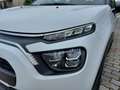 Citroen C3 1.5 bluehdi 100 cv business combi N1 KM ZERO 8879 White - thumbnail 13