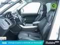 Land Rover Range Rover Sport 3.0TDV6 HSE Aut. Blanco - thumbnail 10