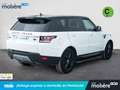 Land Rover Range Rover Sport 3.0TDV6 HSE Aut. Blanco - thumbnail 4