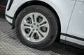 Land Rover Range Rover Evoque 2.0D I4 MHEV S AWD Aut. 163 - thumbnail 14