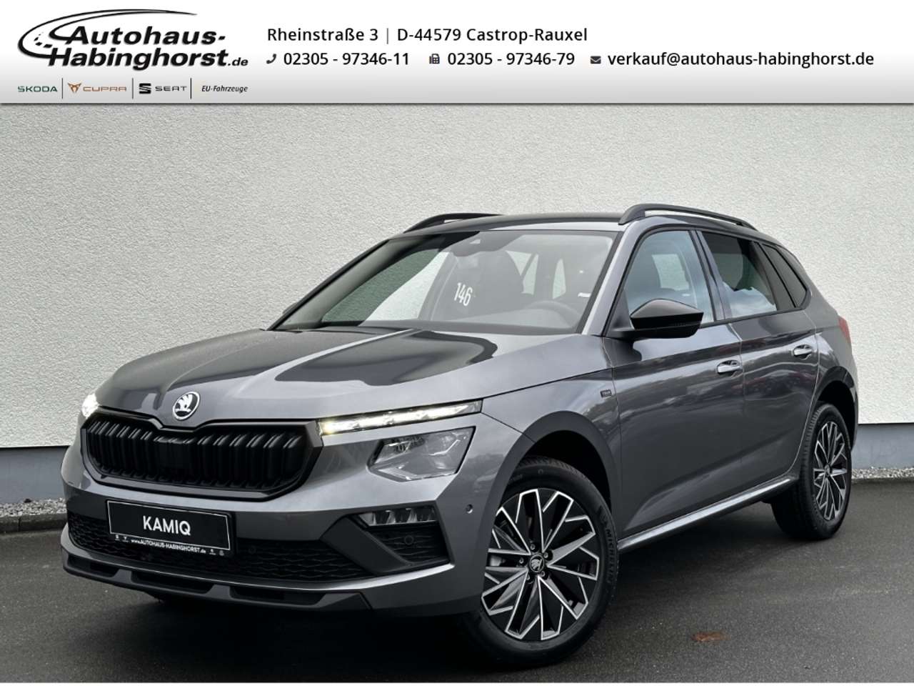 Skoda Kamiq — Skoda Kamiq 1.0 TSI DSG Tour ACC LED DAB