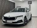 Skoda Octavia Combi 1,5 iV Style DSG /LED/ VIRTUAL/ NAVI/RÜCKFA Weiß - thumbnail 1