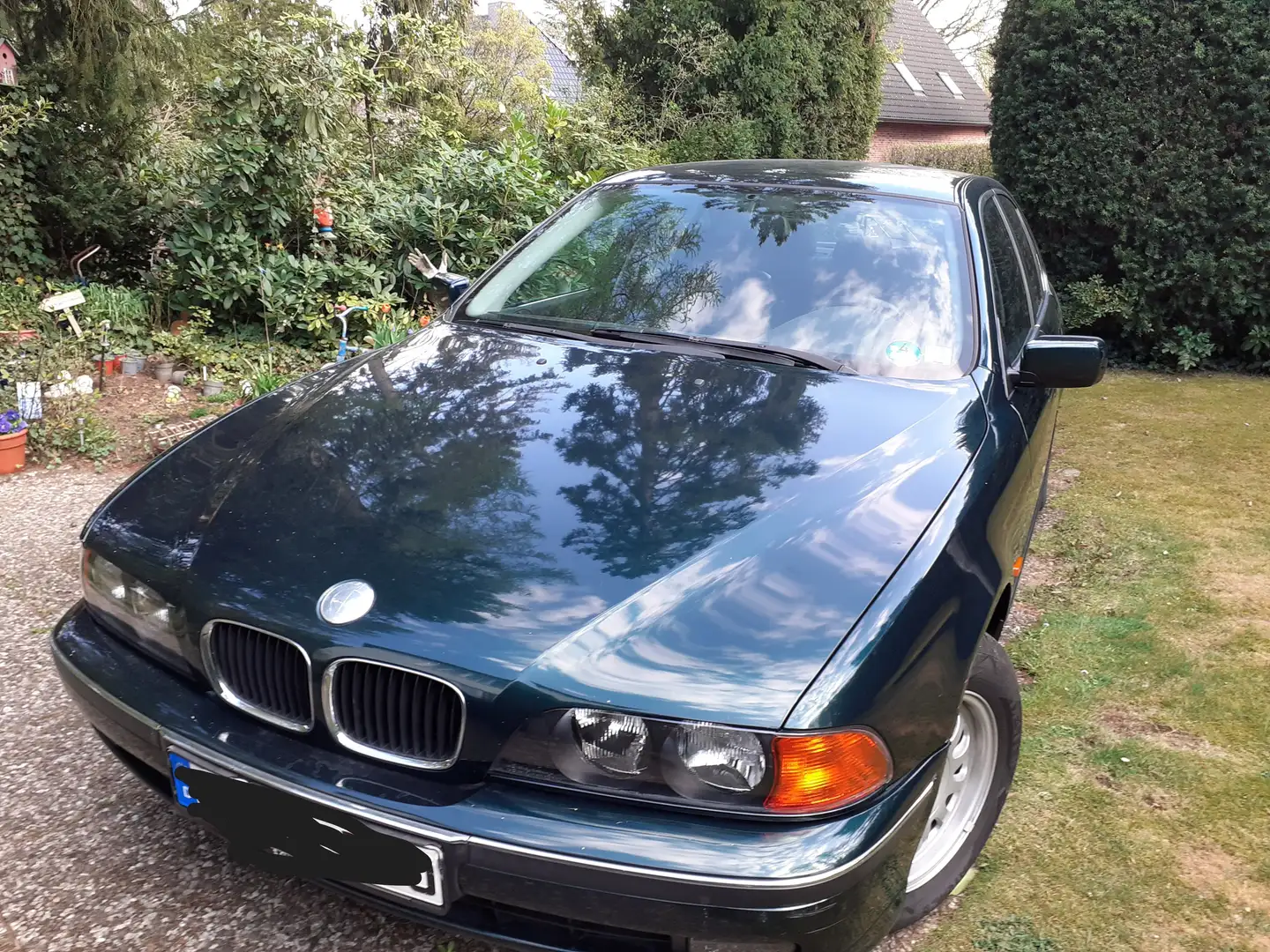 BMW 520 5er 520i Green - 2