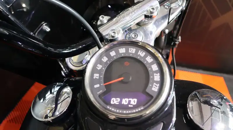 Harley-Davidson Heritage - foto 5