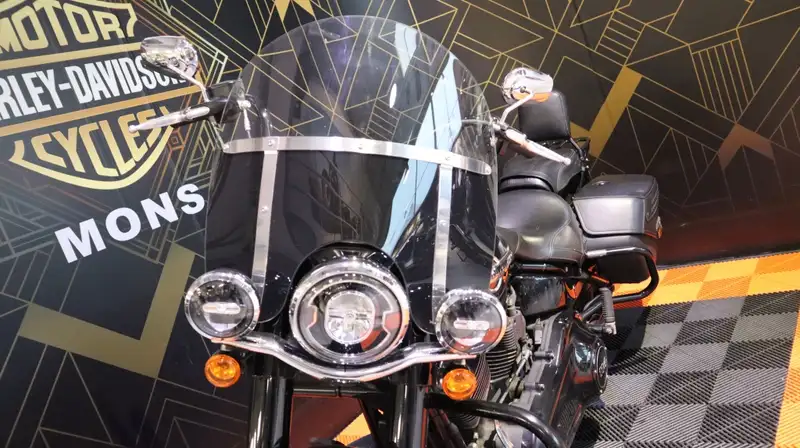 Harley-Davidson Heritage - foto 2
