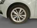 Skoda Octavia BERLINA CON PORTON 1.5 TSI AMBITION 150 5P - thumbnail 8