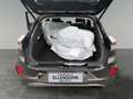 Ford Puma 1,0 EcoBoost Hybrid Titanium Grau - thumbnail 19