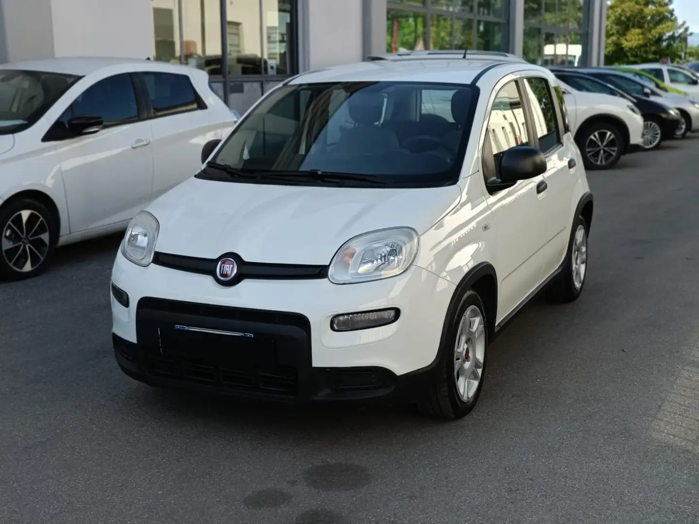 Fiat Panda FIAT PANDA firefly hybrid Bianco - 2