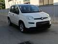 Fiat Panda FIAT PANDA firefly hybrid Bianco - thumbnail 1