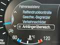 Ford Galaxy 2.0 EcoBlue*7-Sitze*AHK*Kamera*Navi*Klimaauto*Park Weiß - thumbnail 38