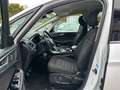 Ford Galaxy 2.0 EcoBlue*7-Sitze*AHK*Kamera*Navi*Klimaauto*Park Weiß - thumbnail 15